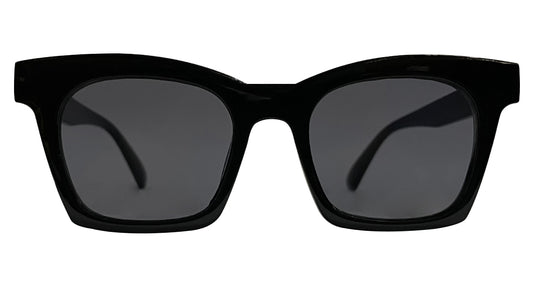 Glossy Black Wayfarer Sunglasses