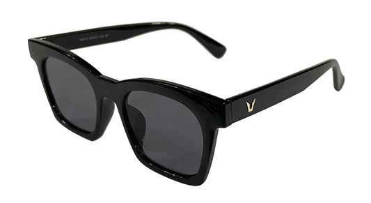 Glossy Black Wayfarer Sunglasses