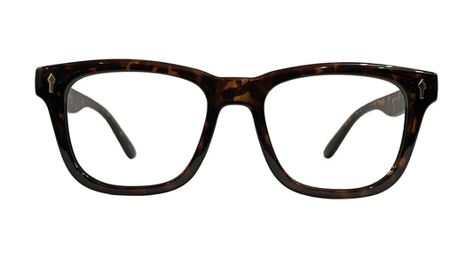 Havana Wayfarer Eyeglasses